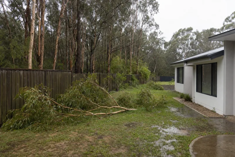 A large gum branch fallen across a wet backyard lawn beside a timber fence after rain, the house beside it undamaged — storm-damaged & fallen trees, Central Coast. Illustrative example.