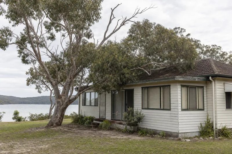 An older weatherboard cottage beside a lake, dead grey branches in the tree above it and one dead limb resting on the tiled roof — tree lopping & pruning, Central Coast. Illustrative example.