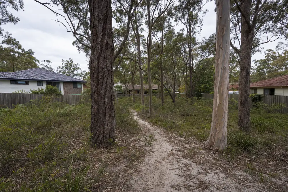 Open eucalypt woodland on pale sandy soil at the edge of houses, a worn sand track running between the trunks — tree removal, Central Coast. Illustrative example.