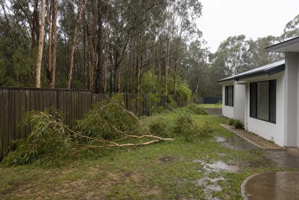 A large gum branch fallen across a wet backyard lawn beside a timber fence after rain, the house beside it undamaged — storm-damaged & fallen trees, Central Coast. Illustrative example.